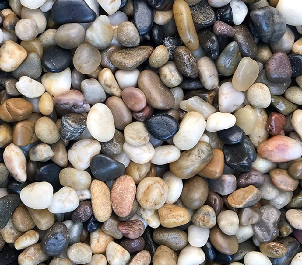 screenshot 2026 02 13 153616