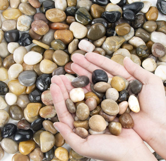 screenshot 2026 02 13 155050